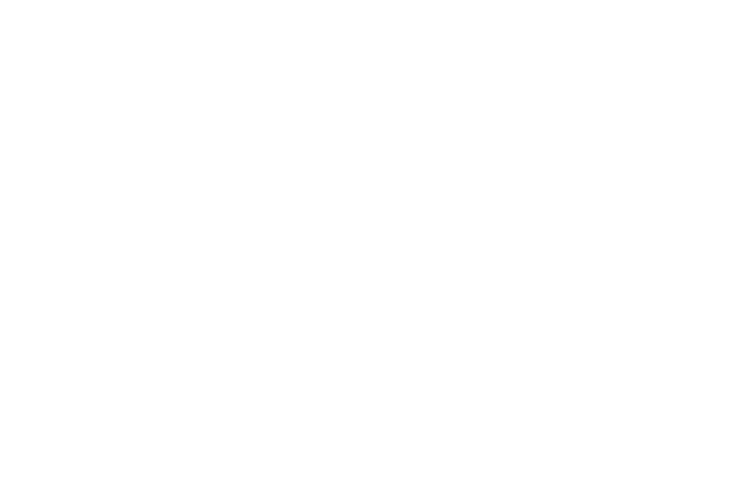 IBI